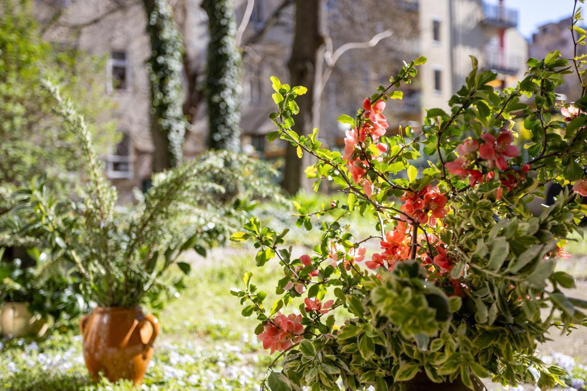Apartamento Ginkgobiloba The Harmony Budapest